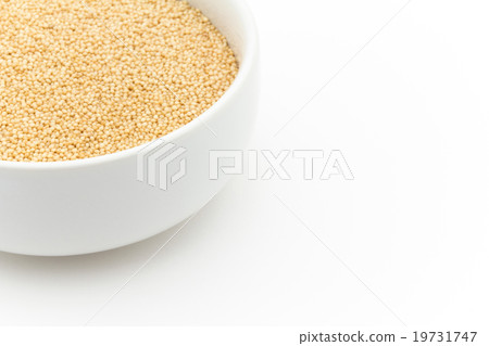 莧菜：莧菜 19731747