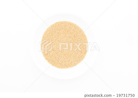 莧菜：莧菜 19731750