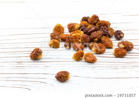 Golden Berry Cape Gooseberry(食用酸漿):Goldenberries Golden Berry Cape Gooseberry(食用酸漿):Goldenberries 19731857