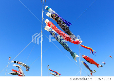 Carp streamer Carp streamer 19732083