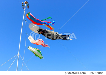 Carp streamer Carp streamer 19732084