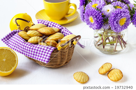 Madeleine Madeleine 19732940