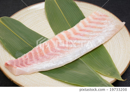 美味的海鯛生魚片 19733208