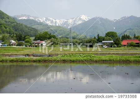 Yamasato _ 3 19733308