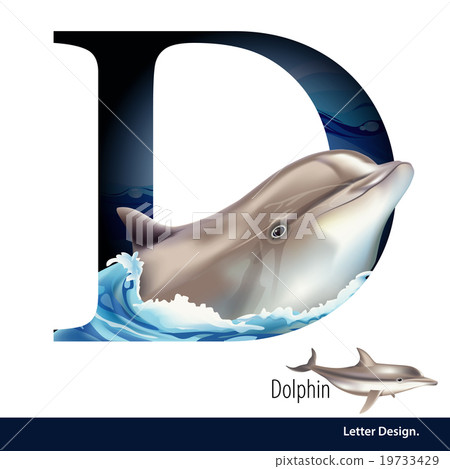 Vector of Letter D for Dolphin alphabet. 19733429