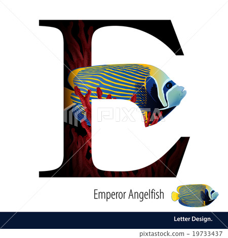 Vector Letter E for Emperor Angelfish withe coral 19733437