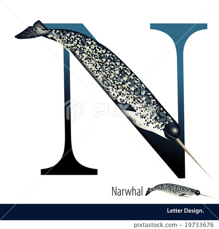 Vector Letter N is Narwhal alphabet. English abc 19733676