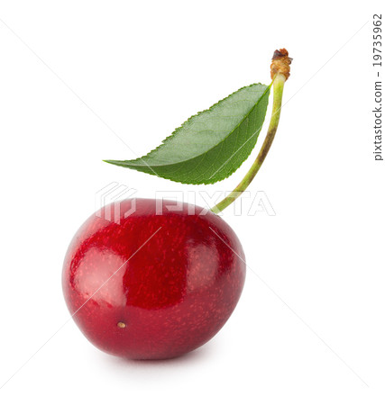 Ripe juicy red cherries with leaves 19735962