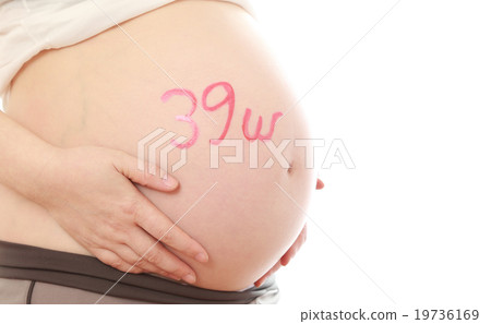 胃肚子 19736169