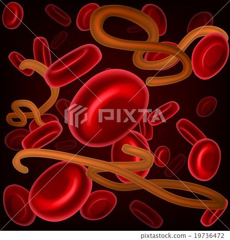 Ebola and Blood Cells Ebola and Blood Cells 19736472