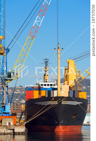 Container Ship in the Harbor 19737030