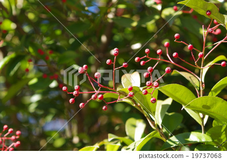 Ladies and Gentlemen 19737068