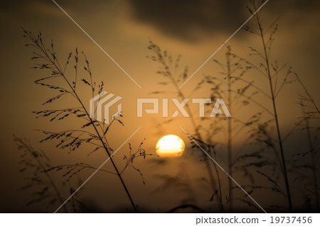 冬天日落 冬天日落 19737456