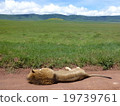 Tanzania Ngorongoro Conservation Area 19739761