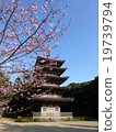 Kyoto Daigoji 19739794