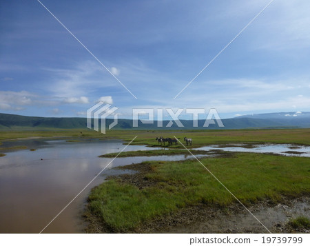 Tanzania Ngorongoro Conservation Area Tanzania Ngorongoro Conservation Area 19739799