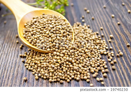 Coriander seeds in spoon on dark board 19740230