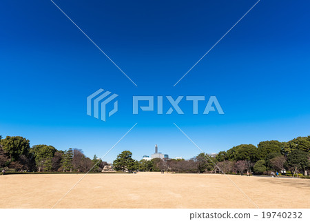 Winter blue sky and lawn The Imperial Palace East Gardens 19740232