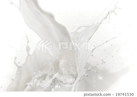 milk splash milk splash 19741530