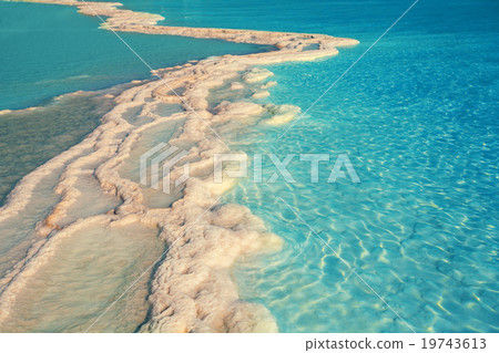 Texture of Dead sea. Salt sea shore 19743613