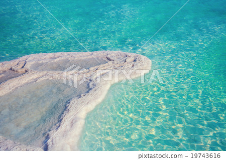 Texture of Dead sea. Salt sea shore 19743616