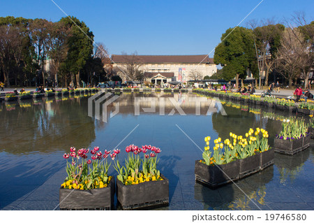 Ueno Park fountain and flower bed, Tokyo National Museum 19746580