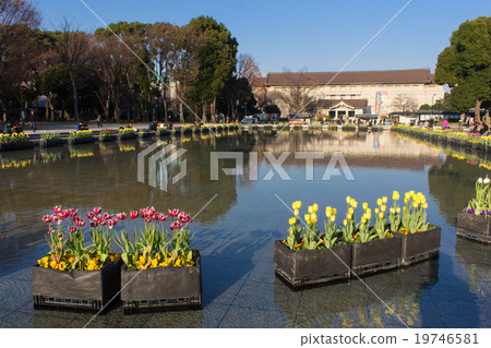 Ueno Park fountain and flower bed, Tokyo National Museum 19746581