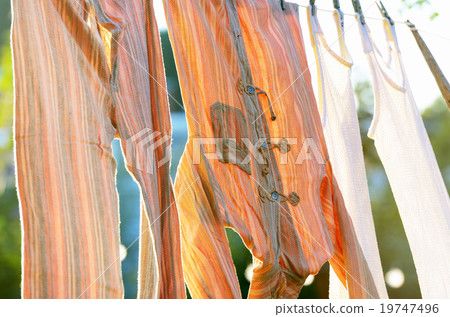 underwear drying on the clothesline underwear drying on the clothesline 19747496