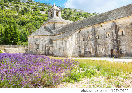 Abbey of Senanque and blooming rows lavender Abbey of Senanque and blooming rows lavender 19747633