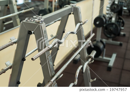 Training apparatus in gym. Training apparatus in gym. 19747957
