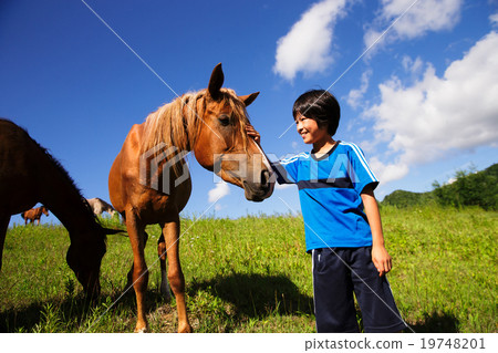 Horses and children 19748201