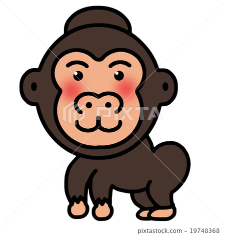 Gorilla Gorilla 19748368