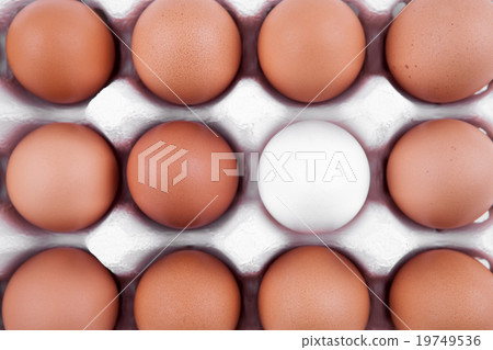 19749536