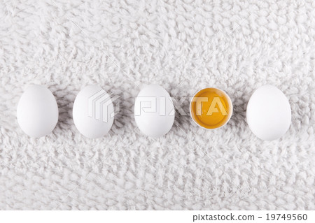 19749560