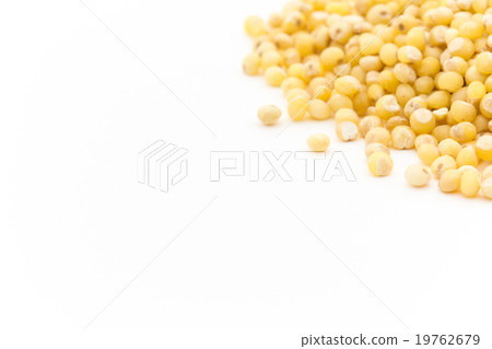 Millet (millet such as millet): Millet 19762679