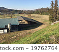 farm 19762764