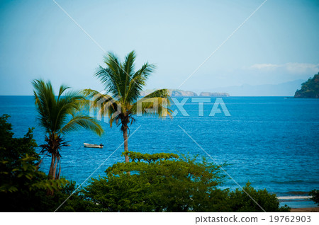 costa rican beach costa rican beach 19762903