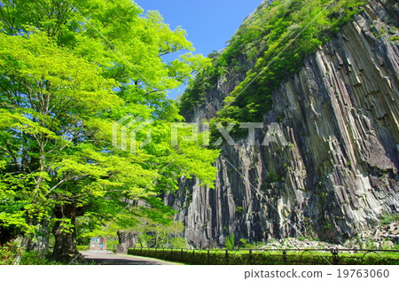 新鮮的綠樹和木材岩石(宮城縣白石市) 新鮮的綠樹和木材岩石(宮城縣白石市) 19763060