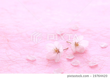 Sakura 2 · Japanese paper P 01 Sakura 2 · Japanese paper P 01 19764420