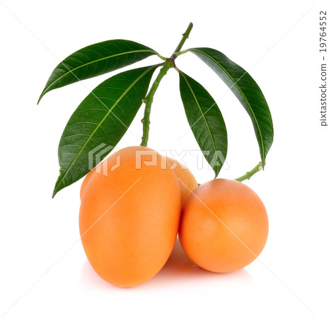 Marian plum thai fruit isolated on white  19764552