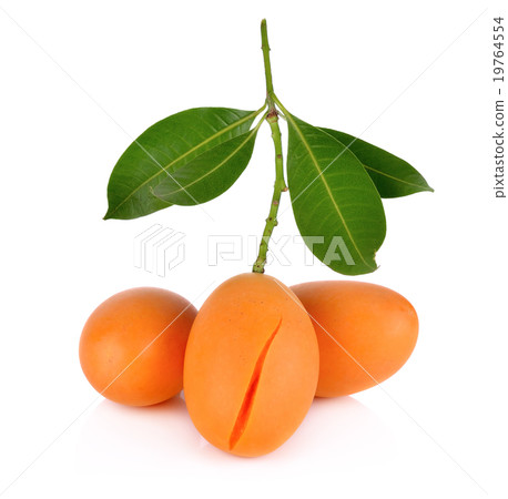 Marian plum thai fruit isolated on white Marian plum thai fruit isolated on white 19764554