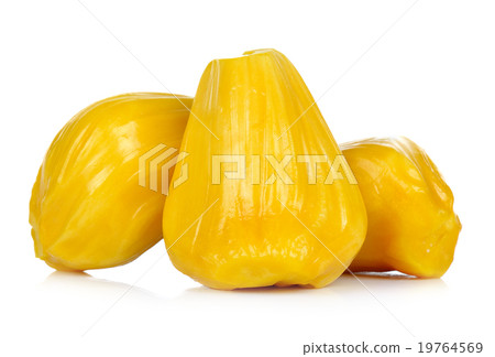 Ripe Jackfruit isolated on white background Ripe Jackfruit isolated on white background 19764569