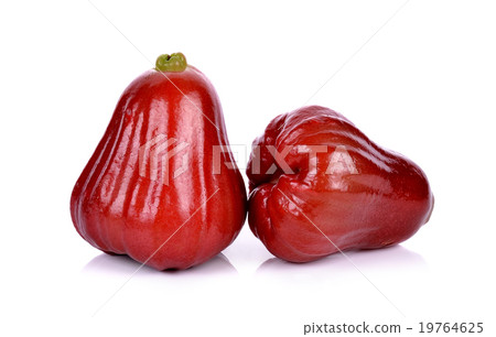 Rose apples isolated on white background 19764625