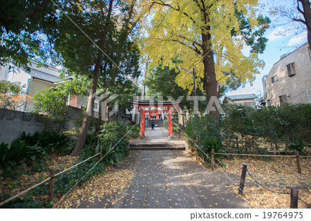 Shinto shrine torii 19764975