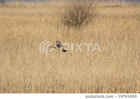 Powered by Translate Powered by Translate 19765009