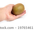 kiwi fruit in hand on isolated white background 19765461