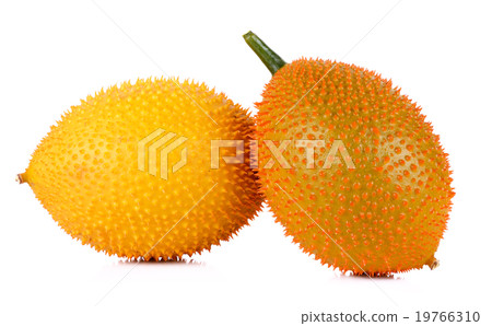 Gac fruit isolated on white background 19766310
