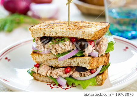 Tuna sandwich 19768076
