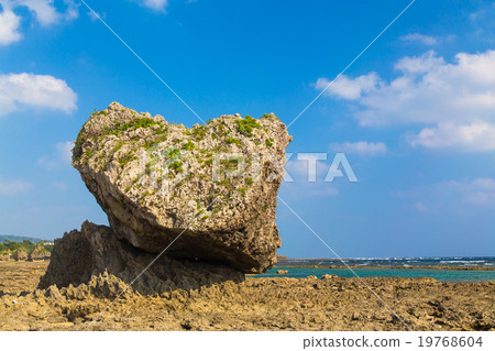 Heart shaped rock 19768604