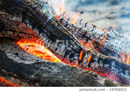 Campfire 19768923